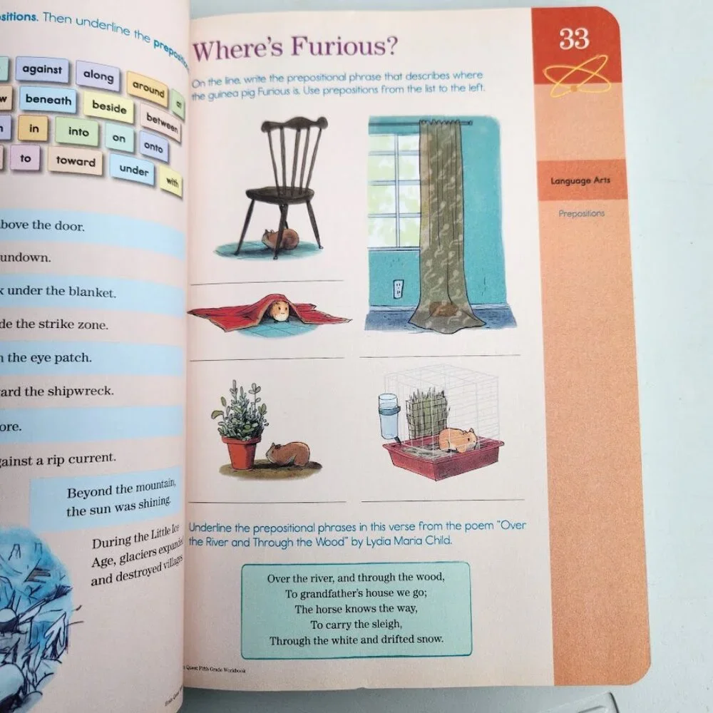 NEW Brain Quest Workbook Grade 5 Activity Book 5th 9780761182788 Workbook School
